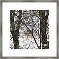 Winter Family Pause Framed Print