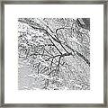 Winter Reflection Framed Print