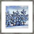 Winter Serenity Framed Print