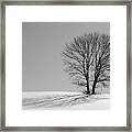 Winter - Snow Trees 2 In Mono Framed Print