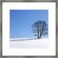 Winter - Snow Trees Framed Print