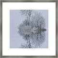 Winter Stillness Framed Print