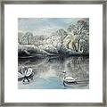 Winter Story Framed Print