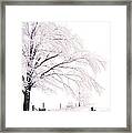 Winter Tree And Lane Framed Print