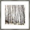 Winter Tree Fence 13283 Framed Print