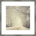 Winter Way Framed Print