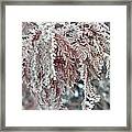 Winter Whispers Framed Print