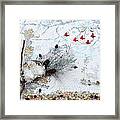 Winter Wonderland Framed Print