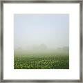 Winters Foggy Morning Across The Farmers Field Framed Print