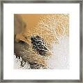Winters Gold Framed Print
