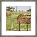 Wire And Hay Framed Print