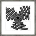 Black And White Striped Wired Illusion Framed Print