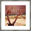 Witch Way Did They Go? Framed Print