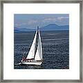 With The Wind Framed Print