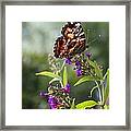 With These Wings Framed Print