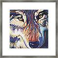 Wolf Framed Print
