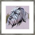 Wolfhound Portrait Framed Print