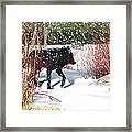 Wolves In The Willows Framed Print