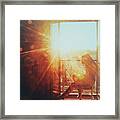 Woman Reading In The Morning Sun Framed Print