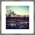 Wood Between The Worlds Framed Print