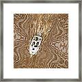 Wood Boat Framed Print