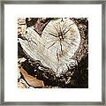 Wood Heart Framed Print
