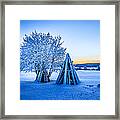 Wood Stacked And A Snow Covered Tree Framed Print