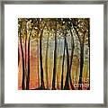 Wooded Sunset Framed Print