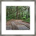 Wooden Bridge 1 Framed Print