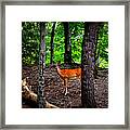 Woodland Deer Framed Print