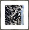 Woodman Framed Print