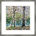 Woodmans Pond Framed Print