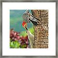 Woody Mama And Baby Framed Print