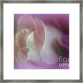 Wrapped In Warmth Framed Print