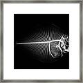 X-ray Of A Flounder Fish Against Black Framed Print