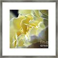 Yellow Beauty Framed Print