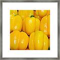 Yellow Bell Peppers - Vegetable - Gardener - Farmer Framed Print