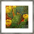 Yellow Cacti Framed Print