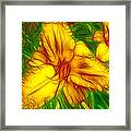 Yellow Day Lilies Framed Print