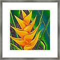Yellow Heliconia Framed Print