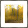 Yellow Leaves Framed Print