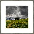 Yellow Meadow Framed Print