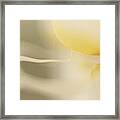 Yellow Orchid Abstract Framed Print