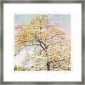 Yellow Pink Nature Trees - Dreamy Fantasy Surreal Yellow Pink Golden Trees Nature Landscape Framed Print