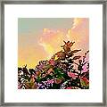 V Yellow Sunrise And Flowers - Vertical Framed Print