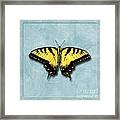 Yellow Swallowtail On Blue Framed Print