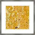 Yellow Wall Of Aruba Ii Framed Print