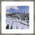 Yellowstone Winter Framed Print