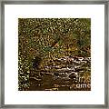 Yorkshire Moors Stream In Autumn Framed Print