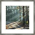 Yosemite Sunlight Framed Print